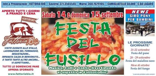 Festa del fusillo