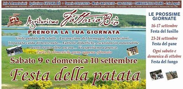 Festa della Patata